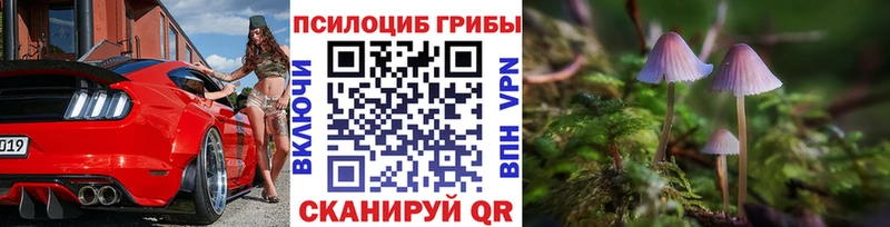 kraken онион  Кольчугино  Псилоцибиновые грибы Psilocybine cubensis 