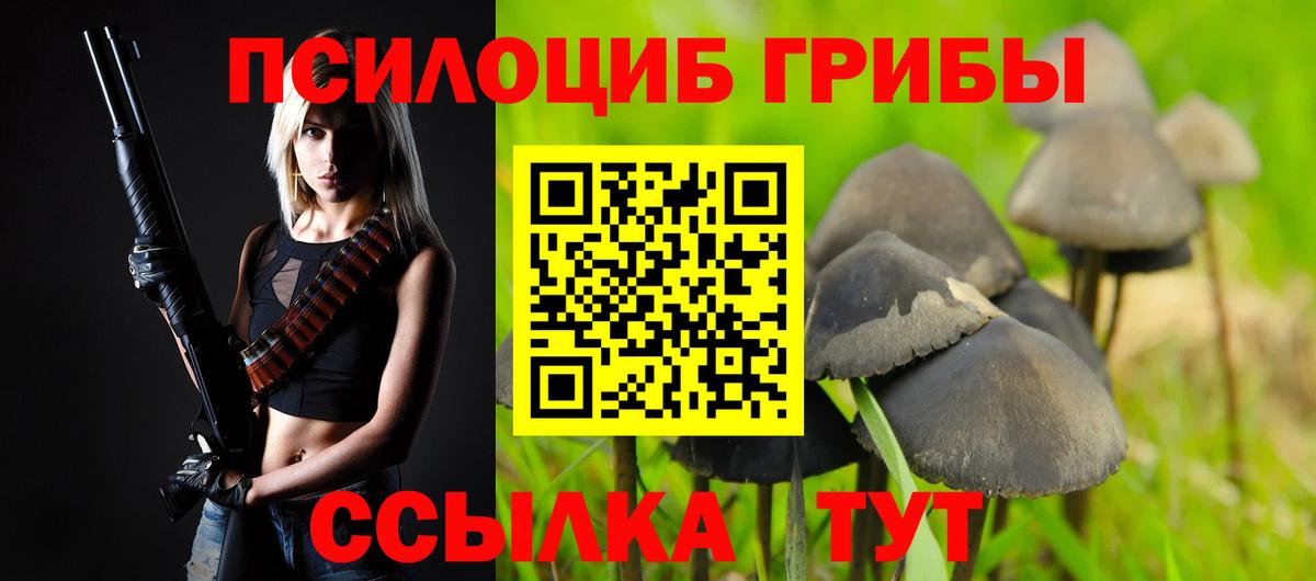 Кольчугино  Галлюциногенные грибы мухоморы  Вход с VPN  Галлюциногенные грибы мухоморы 