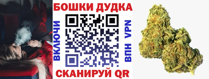 Бошки марихуана OG Kush  darknet формула  Кольчугино 